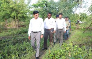 कलेक्टर श्री सिंह ने किया शासकीय संजय निकुंज राजेगांव का भ्रमण