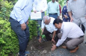 एक पेड़ माँ के नाम अभियान के अन्तर्गत संचालक विस्तार सेवायें डॉ.शर्मा द्वारा किया गया पौधारोपण