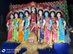 “अमरवाड़ा में विराजित माँ दुर्गा के नौ रूप वाली मनमोहक प्रतिमा”