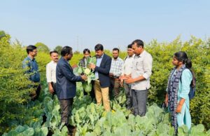 पांढुर्णा जिले के ग्राम राजना में किये गये नवाचार को देखने पहुंची कृषि वैज्ञानिकों व कृषि अधिकारियों की टीम