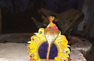 आनंद आश्रम भूली में दही-लाही कार्यक्रम संपन्न, हजारों श्रद्धालुओं ने लिया महाप्रसाद का लाभ